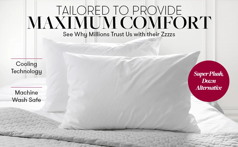 Hilton Pillow 1000g With Bag Embroidered Pillow Covers Down Duvet And Pillows For Hotels