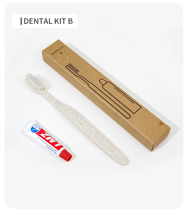 Oral Care Eco Friendly Luxury Dental Kit Dupont Soft Bristles Custom Logo Hotel Disposable Toothbrush Dental Kit